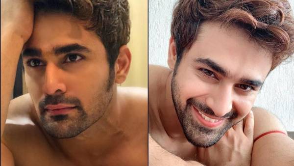 நாகினி தொடரில்