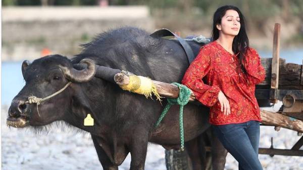 24 மணிநேரமும் கேமரா கண்கள்