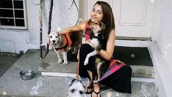 4 கால்கள் இருக்க வேண்டும்