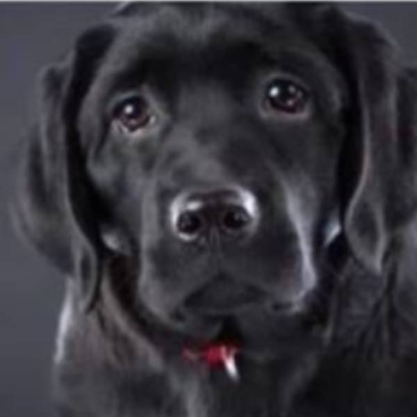 வழக்கு தொடுத்த உரிமையாளர்