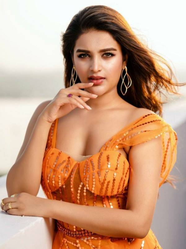 தமிழில் அறிமுகமானார்