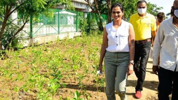 மரம் நட ஆர்வம் மரம் நட ஆர்வம்