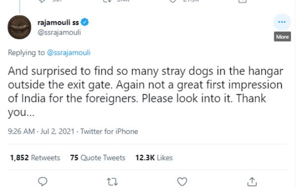 ஏராளமான தெரு நாய்கள் 