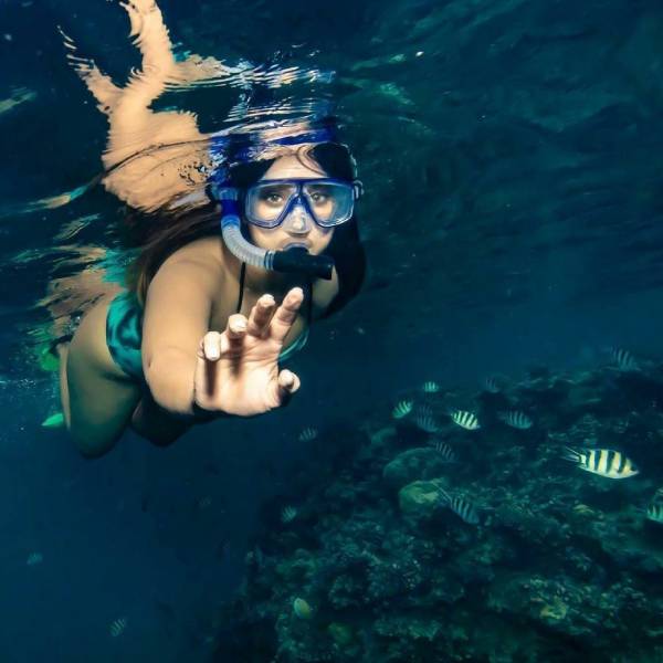 லாஸ் ஏஞ்சல்ஸில் 