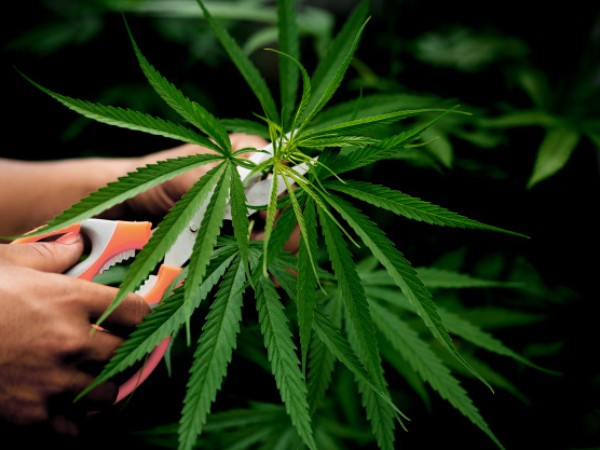 கன்னட நடிகை சோனியா அகர்வார் கைது 