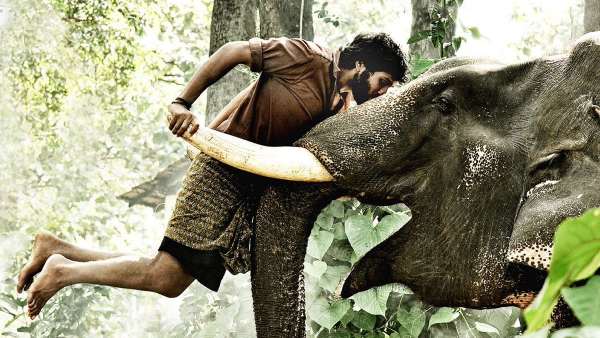 பிரபு சாலமன் பிரபு சாலமன்