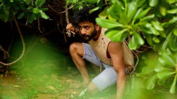 சர்வைவர்