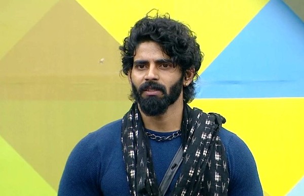 வைல்டு கார்டு யாரு