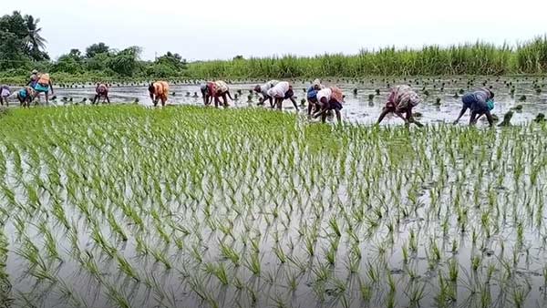 மத்திய அரசு பிடிவாதம்