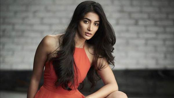 மோஸ்ட் எலிஜிபள் பேச்சுலர் படம்