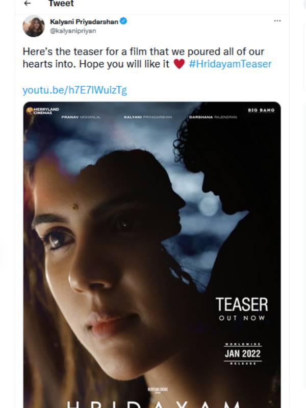 நடிகர் ப்ரணவ் மோகன்லால் 