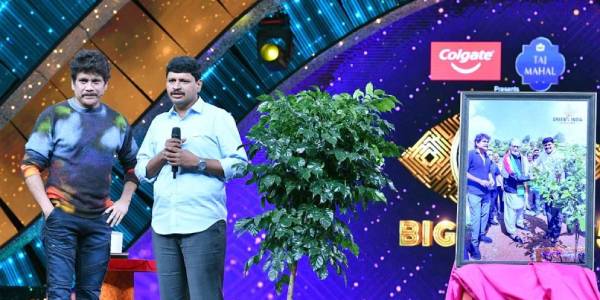 மூன்று வாரங்களில் மூன்று மரங்கள் மூன்று வாரங்களில் மூன்று மரங்கள்