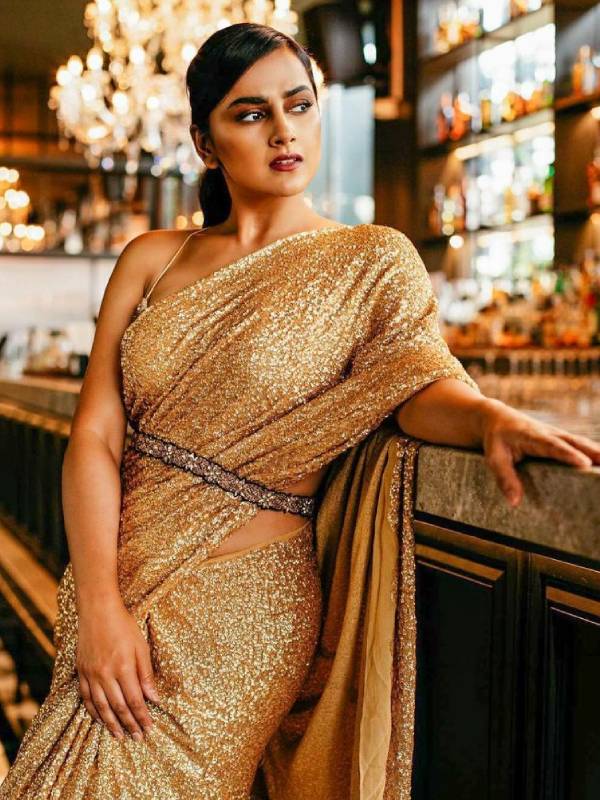 ஜிகு ஜிகு புடவையில்