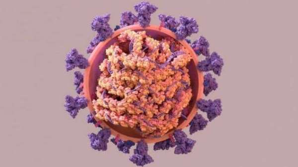 கட்டுப்பாடுகள் தளர்வு கட்டுப்பாடுகள் தளர்வு