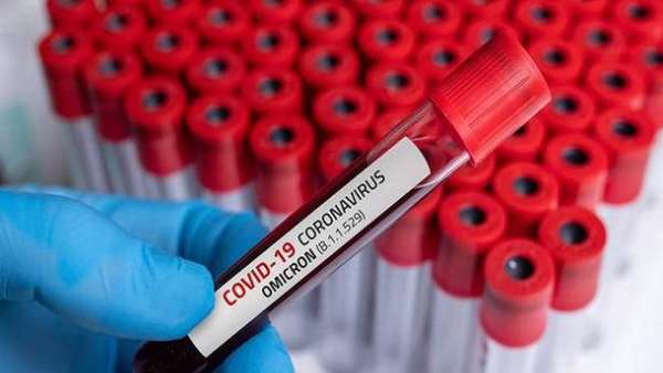 250 பேருக்கு பரவல் 250 பேருக்கு பரவல்