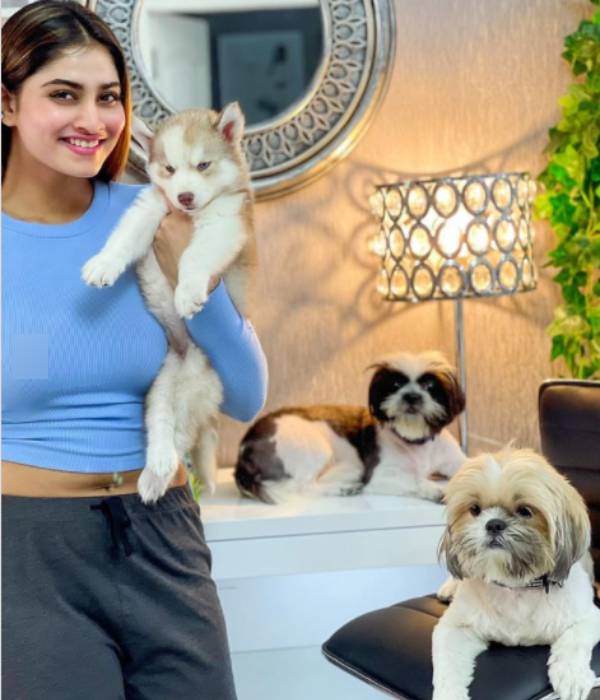 கையில் வோட்கா