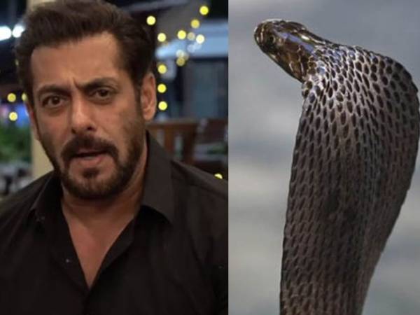 விஷ முறிவு மருந்தளித்து சிகிச்சை