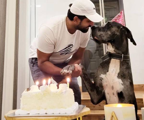 நாய் பிறந்தநாள்