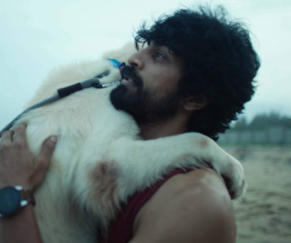 அன்பைத்தேடி அன்பைத்தேடி