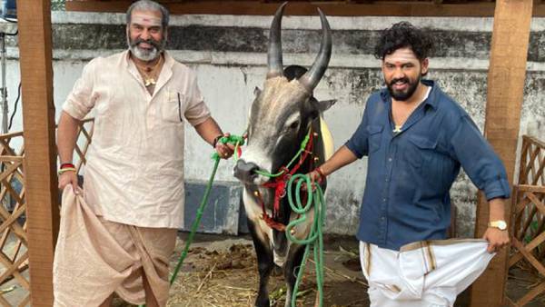 மனதில் ஒட்டவில்லை