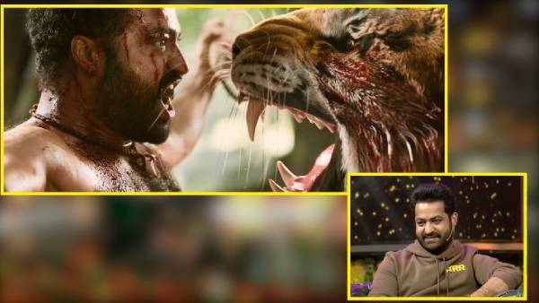 பல்கேரியா காட்டில்