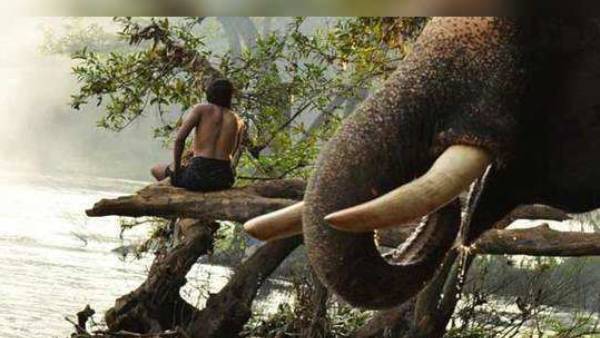 அடுத்தடுத்த அப்டேட்கள்