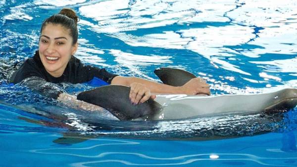 எப்போதும் பிஸி