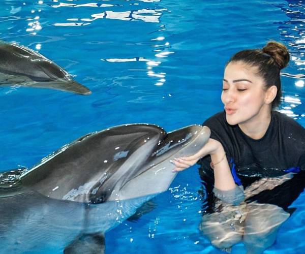 டால்ஃபினுக்கு முத்தம்