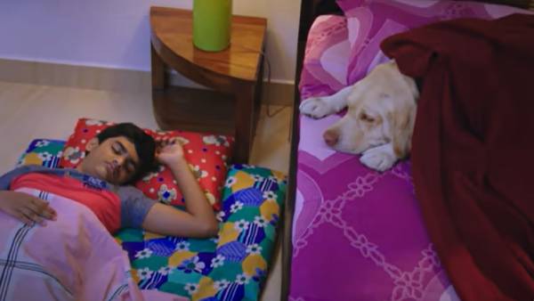 எதிர்பார்ப்பில் ரசிகர்கள்