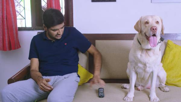 நாய்க்கு முக்கிய கதாபாத்திரம்