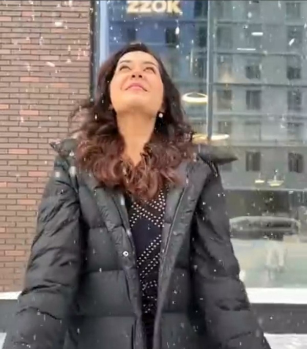 பனி பொழிவிற்கு நடுவே நிற்கும் வெள்ளை பூ