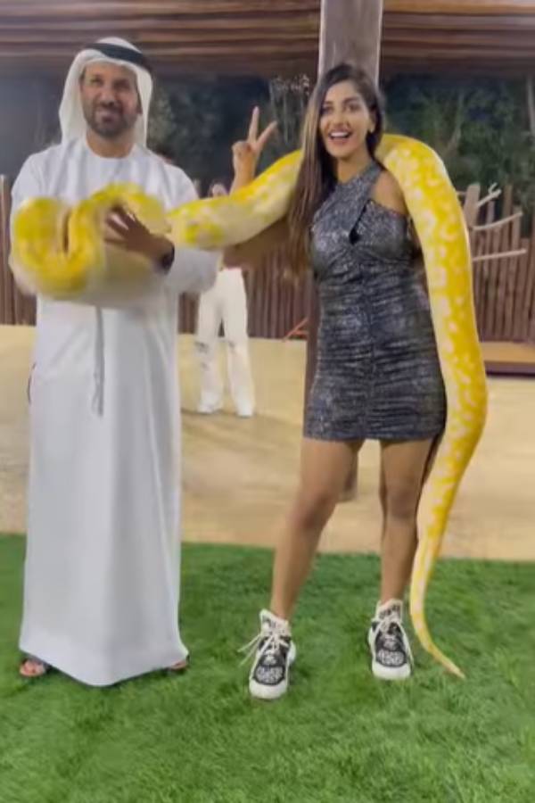 பாம்புன்னு யாரை சொல்றீங்க