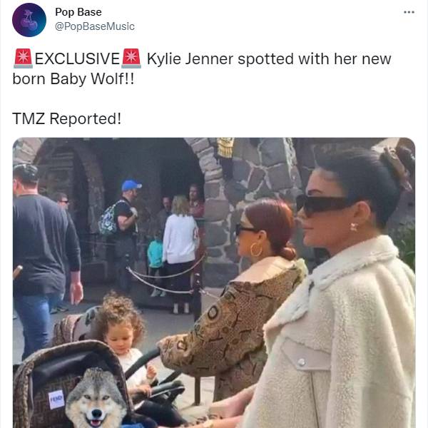 குழந்தையின் புகைப்படம்