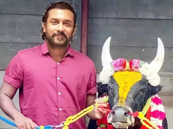 வாடிவாசல் வேலைகளும் வாடிவாசல் வேலைகளும்