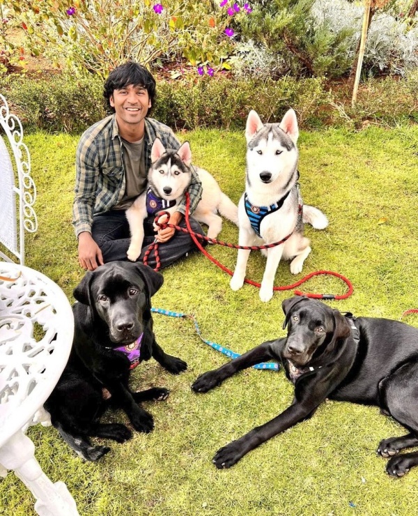 வளர்ப்பு நாய்களுடன் தனுஷ்