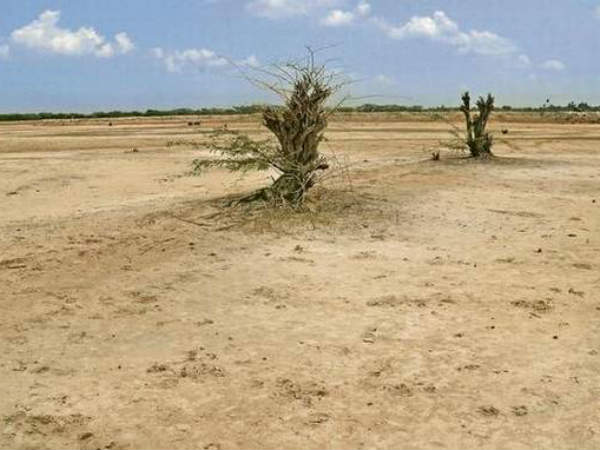 நிலத்தை விற்க முயற்சி