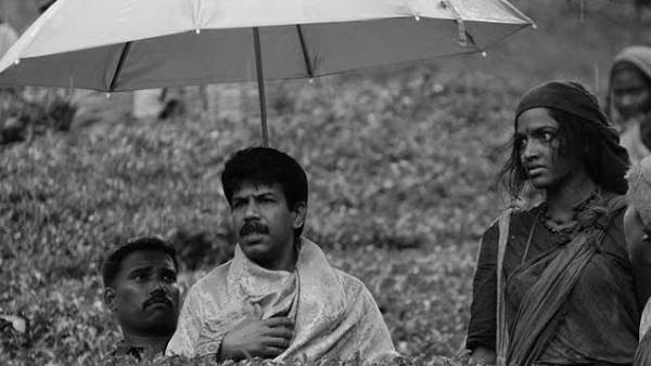  கிணற்று காட்சியில்