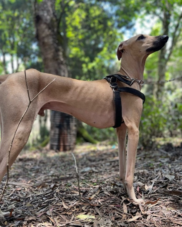 பேரு வச்சீங்க. சோறு ?