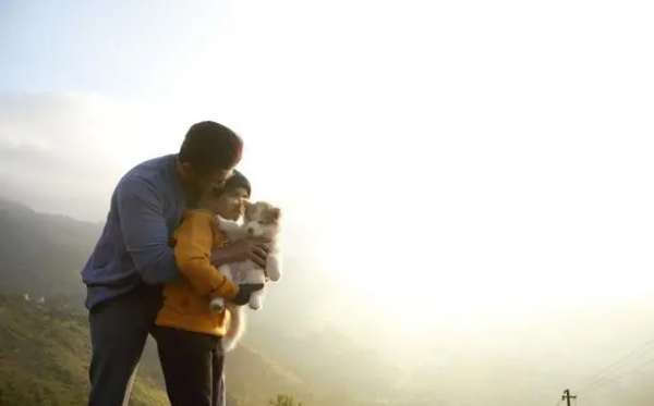 இது தான் படத்தின் கதை