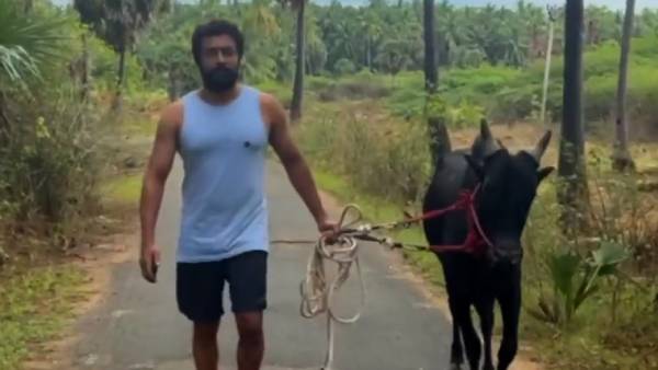 சூர்யாவின் புத்தாண்டு வாழ்த்து சூர்யாவின் புத்தாண்டு வாழ்த்து