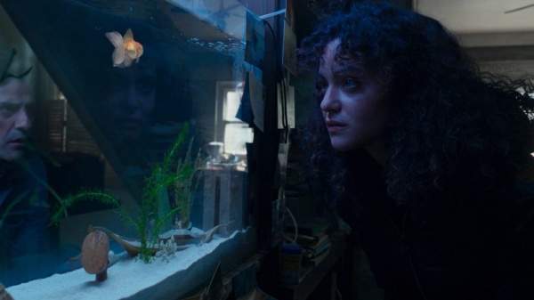 திடீரென வரும் சூட்