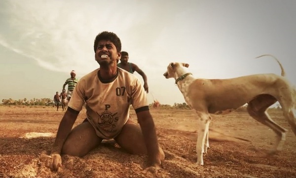 மக்கள் மனதில் வன்முறையை விதைக்கும் படங்கள் மக்கள் மனதில் வன்முறையை விதைக்கும் படங்கள்