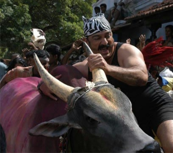 கமல் கொடுத்த அட்வைஸ்