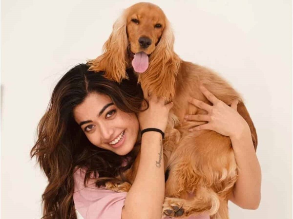 நாய் விமானத்தில் டிக்கெட் நாய் விமானத்தில் டிக்கெட்