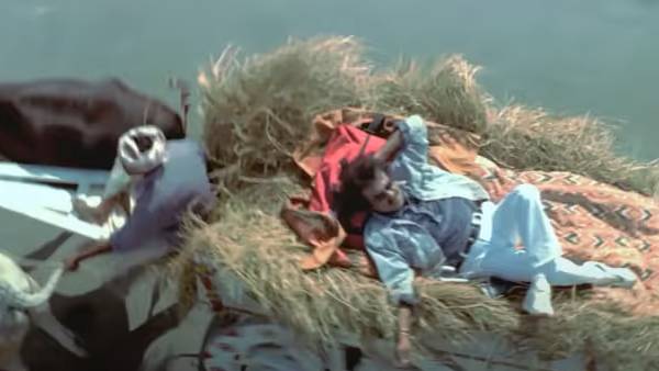 சந்திரமுகி எஃபெக்ட்