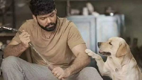 என்ன கதை