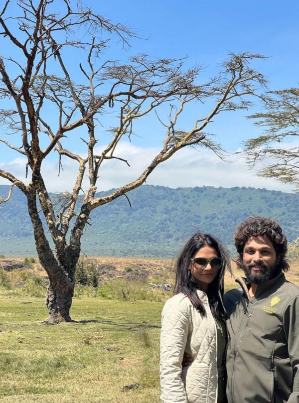 கரடுமுரடான லுக் 