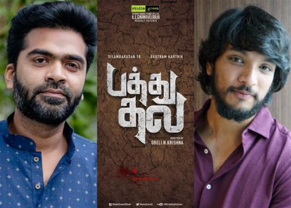 அடுத்தடுத்த படங்கள்