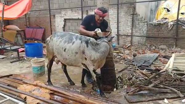 பாட்டுப் பாடிய மன்சூர்