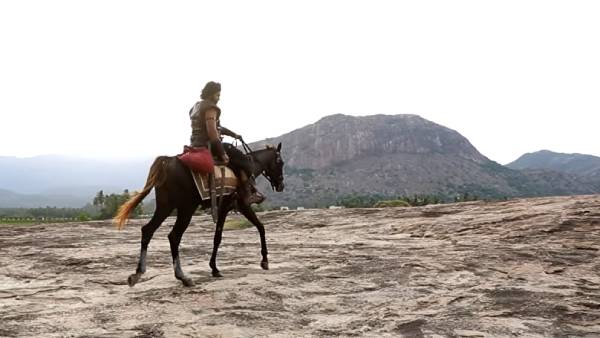  ரசிகர்களுக்கு இதுதான் வேணுமா 